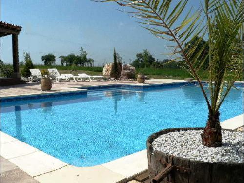 La Terrasse Villa Soreze Ngoại thất bức ảnh